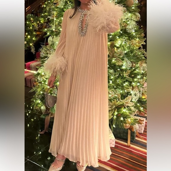 Self Portrait crystal pleated chiffon gown 0 - Picture 5 of 6